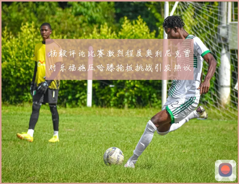 杨毅评论比赛激烈程度奥利尼克曾对乐福施压哈滕抢板挑战引发热议
